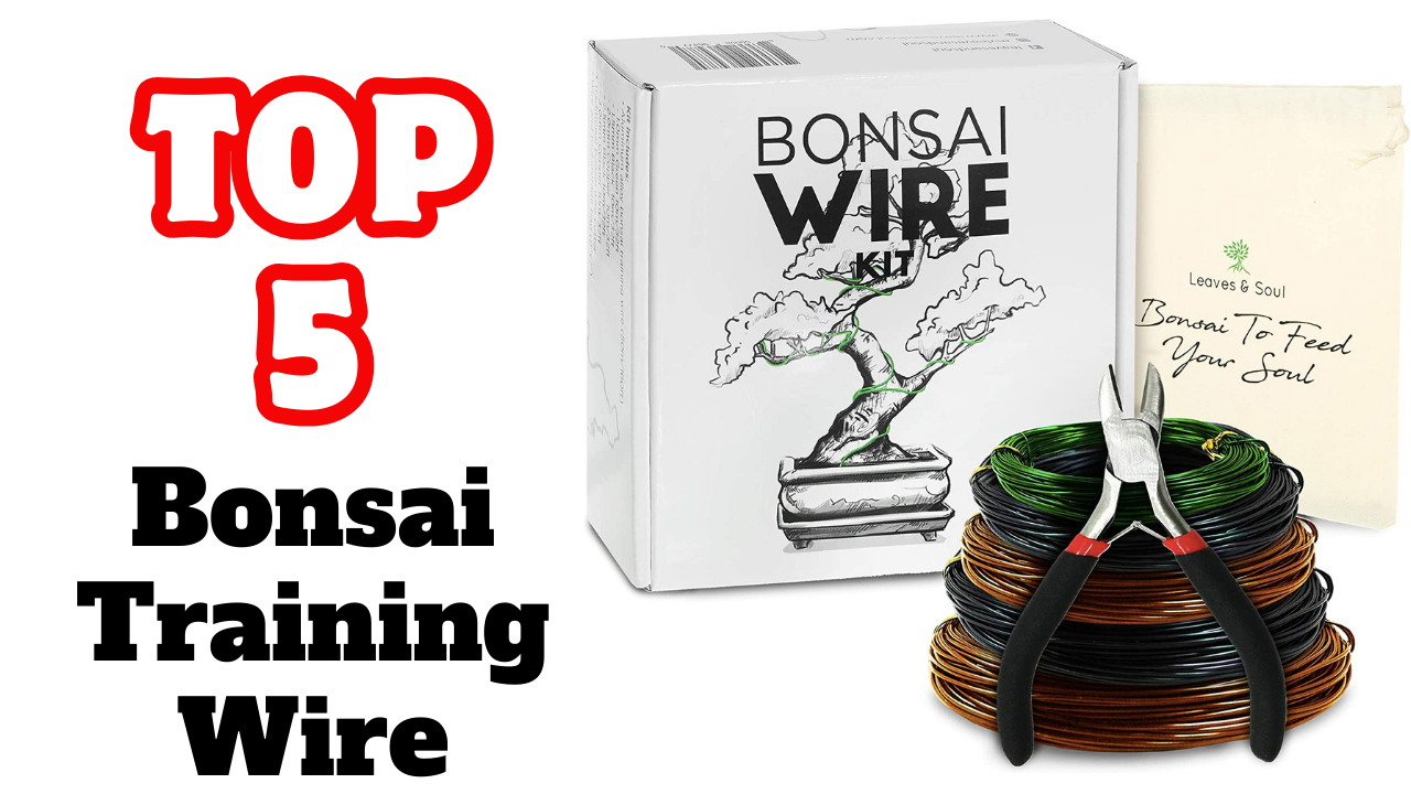 The Best Bonsai Training Wire Buying Guide 2024