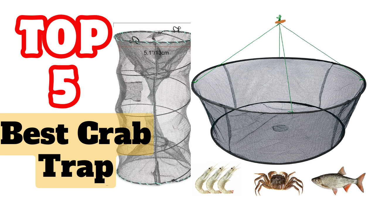 The Best Crab Trap On Market