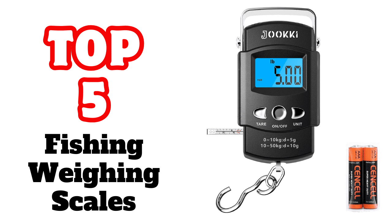 The Best Fishing Weighing Scales On Market 2024