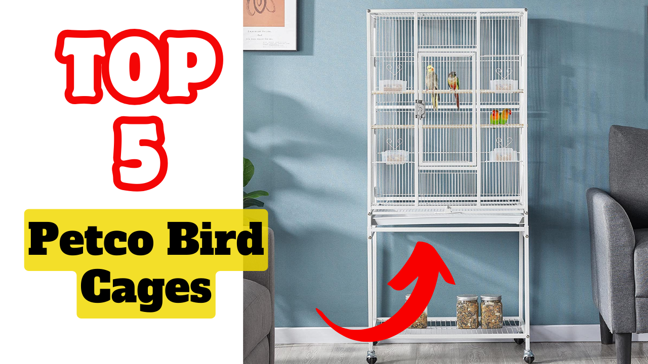 The Best Petco Bird Cages On Market 2024