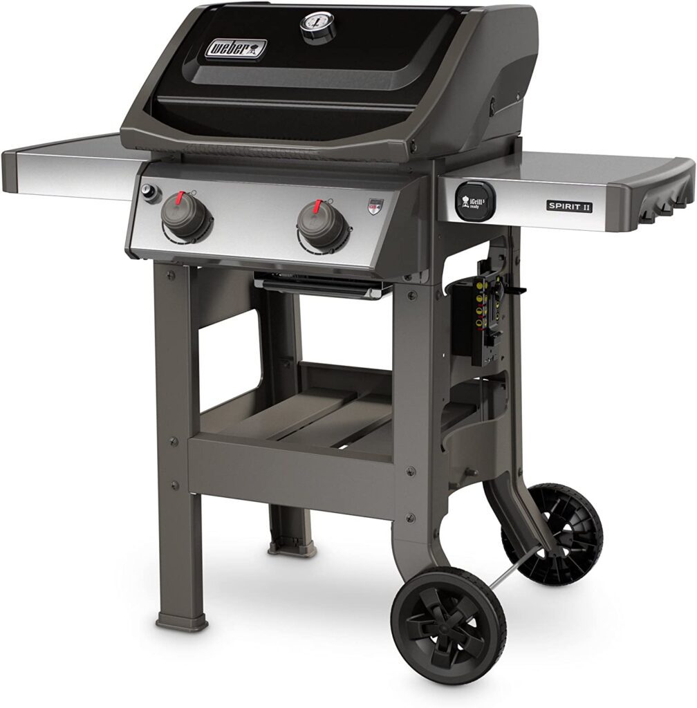 BBQ Propane Gas Grill