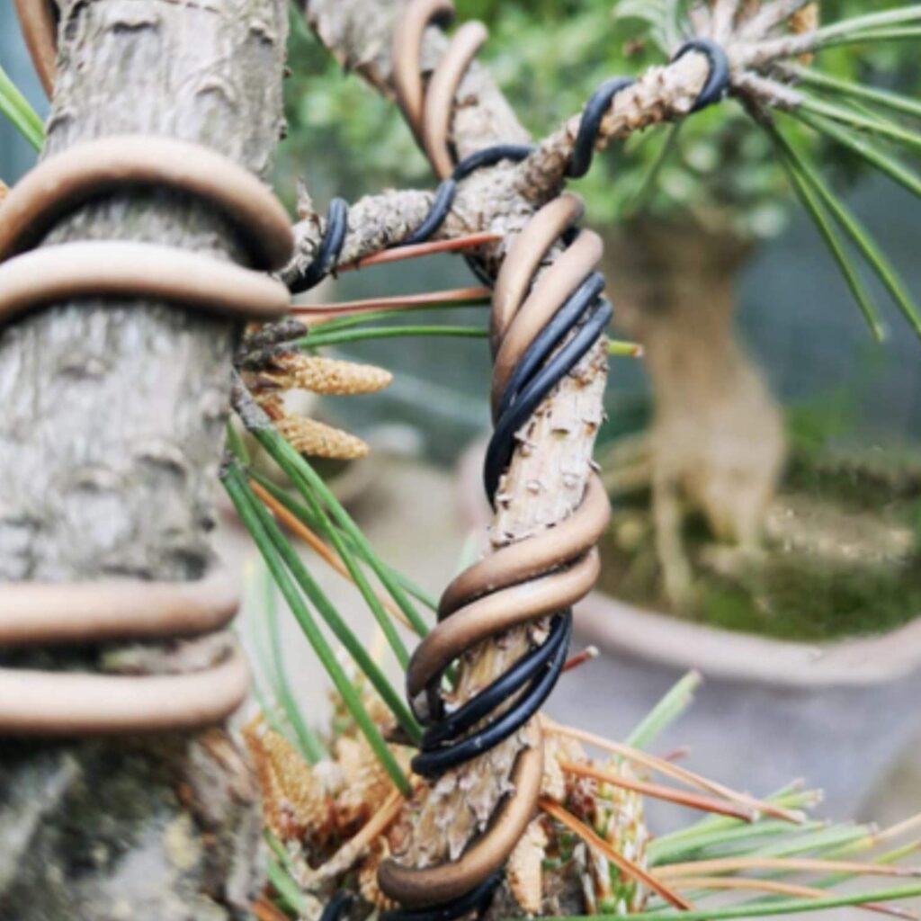 Bonsai Training Wire