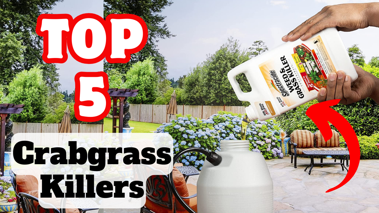 The Best Crabgrass Killers of 2024