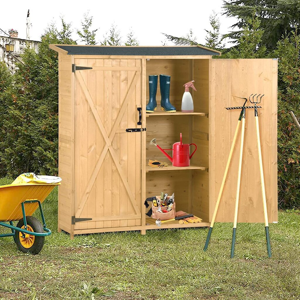 Shed With Fir Woods